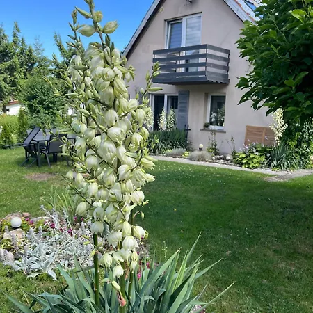 Apartment Gorski Reset Sciegny