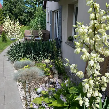 Gorski Reset * Sciegny