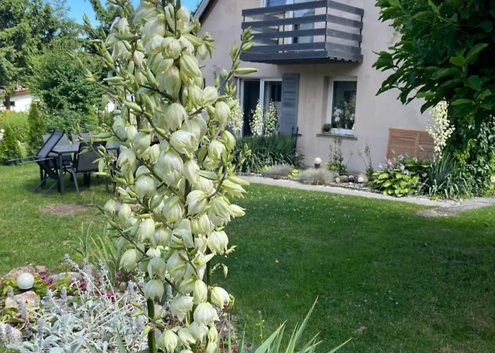 Apartment Gorski Reset Sciegny