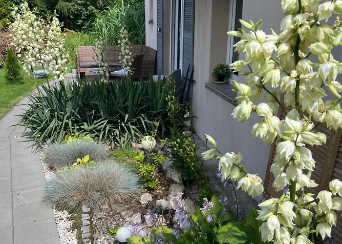 Gorski Reset * Sciegny